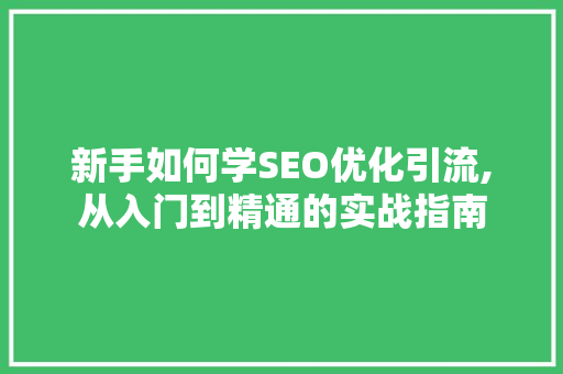 新手如何学SEO优化引流,从入门到精通的实战指南