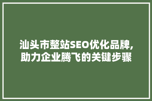 汕头市整站SEO优化品牌,助力企业腾飞的关键步骤  第1张