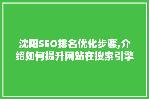 沈阳SEO排名优化步骤,介绍如何提升网站在搜索引擎中的竞争力