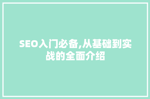 SEO入门必备,从基础到实战的全面介绍