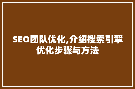 SEO团队优化,介绍搜索引擎优化步骤与方法