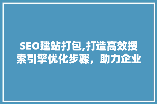 SEO建站打包,打造高效搜索引擎优化步骤，助力企业腾飞