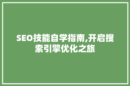 SEO技能自学指南,开启搜索引擎优化之旅