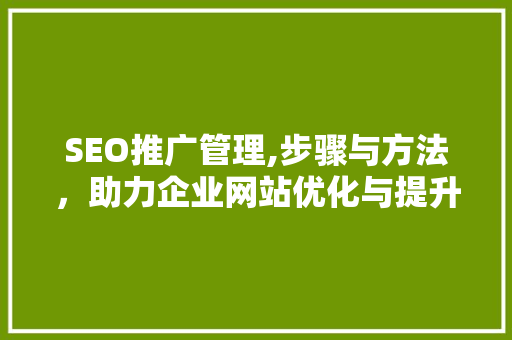SEO推广管理,步骤与方法，助力企业网站优化与提升
