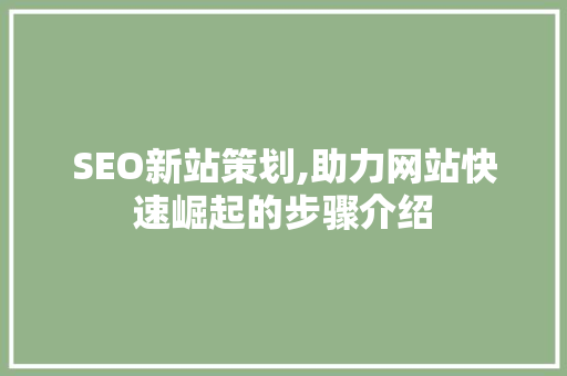 SEO新站策划,助力网站快速崛起的步骤介绍