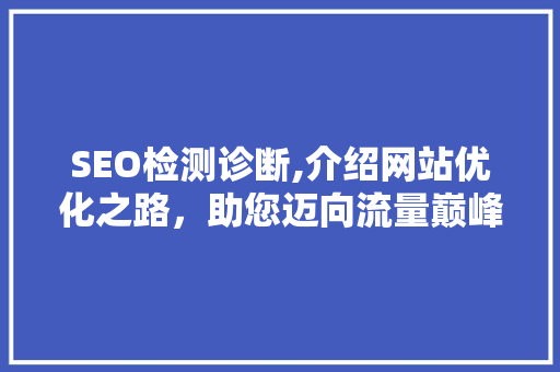SEO检测诊断,介绍网站优化之路，助您迈向流量巅峰