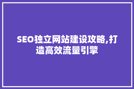 SEO独立网站建设攻略,打造高效流量引擎