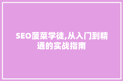 SEO菠菜学徒,从入门到精通的实战指南