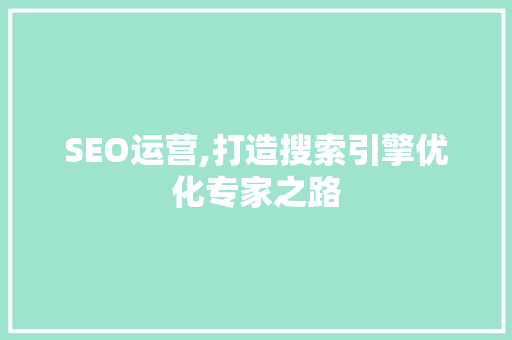SEO运营,打造搜索引擎优化专家之路