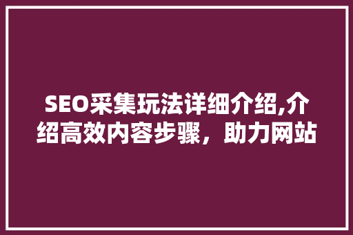 SEO采集玩法详细介绍,介绍高效内容步骤，助力网站优化