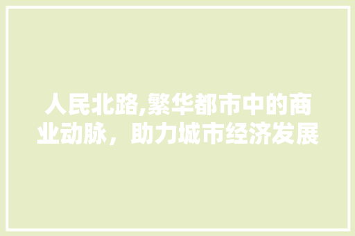 人民北路,繁华都市中的商业动脉，助力城市经济发展
