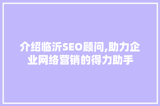 介绍临沂SEO顾问,助力企业网络营销的得力助手