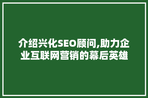 介绍兴化SEO顾问,助力企业互联网营销的幕后英雄