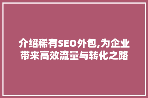介绍稀有SEO外包,为企业带来高效流量与转化之路