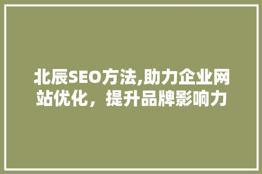 北辰SEO方法,助力企业网站优化，提升品牌影响力