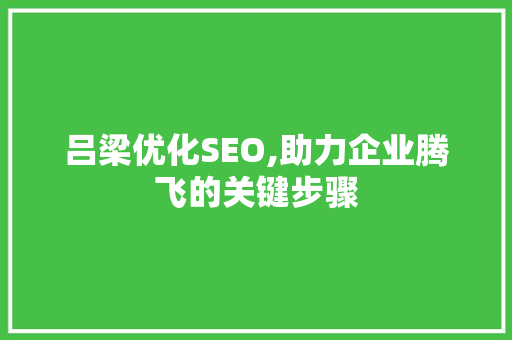 吕梁优化SEO,助力企业腾飞的关键步骤