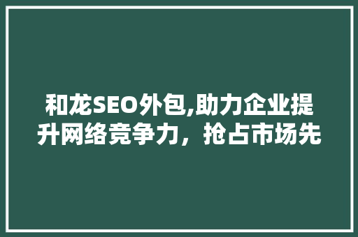 和龙SEO外包,助力企业提升网络竞争力，抢占市场先机