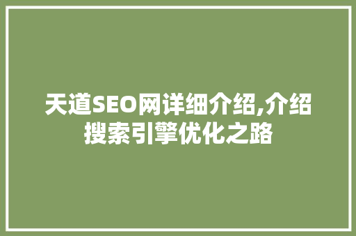 天道SEO网详细介绍,介绍搜索引擎优化之路