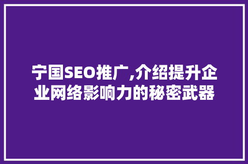 宁国SEO推广,介绍提升企业网络影响力的秘密武器  第1张