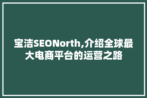 宝洁SEONorth,介绍全球最大电商平台的运营之路