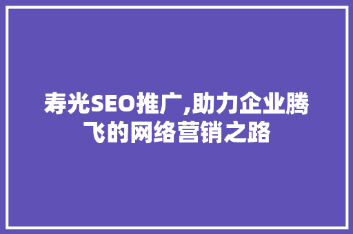 寿光SEO推广,助力企业腾飞的网络营销之路