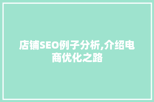 店铺SEO例子分析,介绍电商优化之路