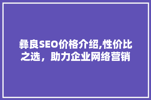 彝良SEO价格介绍,性价比之选，助力企业网络营销