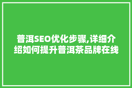 普洱SEO优化步骤,详细介绍如何提升普洱茶品牌在线影响力