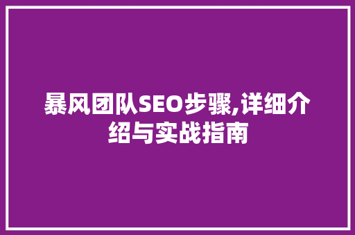 暴风团队SEO步骤,详细介绍与实战指南