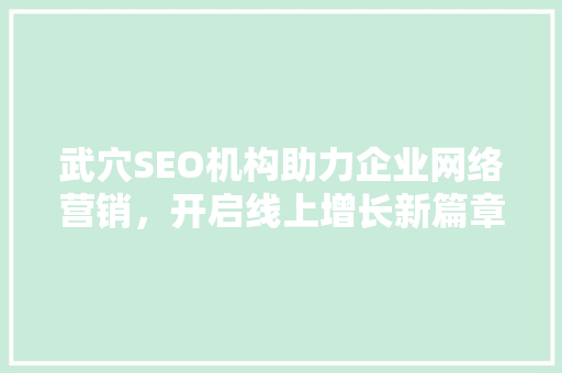 武穴SEO机构助力企业网络营销，开启线上增长新篇章