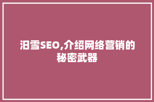 汨雪SEO,介绍网络营销的秘密武器  第1张