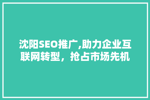 沈阳SEO推广,助力企业互联网转型，抢占市场先机