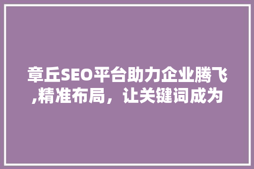 章丘SEO平台助力企业腾飞,精准布局，让关键词成为企业发展的翅膀