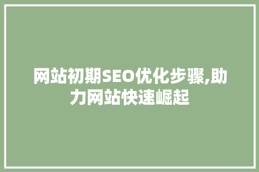 网站初期SEO优化步骤,助力网站快速崛起