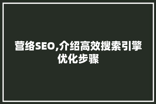 营络SEO,介绍高效搜索引擎优化步骤  第1张
