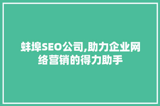 蚌埠SEO公司,助力企业网络营销的得力助手