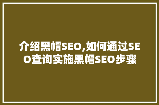 介绍黑帽SEO,如何通过SEO查询实施黑帽SEO步骤