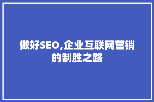 做好SEO,企业互联网营销的制胜之路