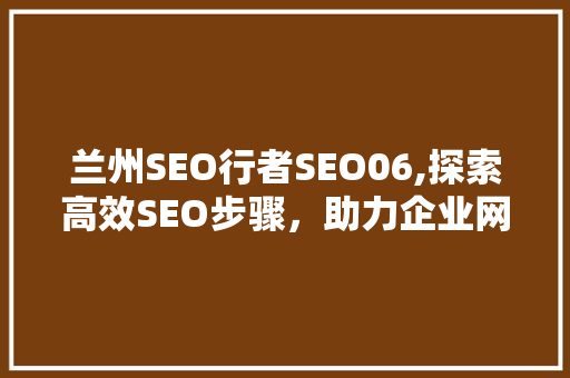 兰州SEO行者SEO06,探索高效SEO步骤，助力企业网络营销