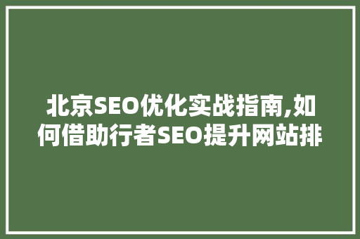 北京SEO优化实战指南,如何借助行者SEO提升网站排名
