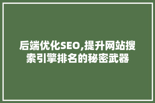 后端优化SEO,提升网站搜索引擎排名的秘密武器