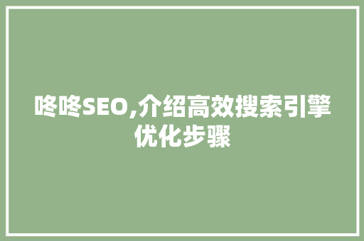 咚咚SEO,介绍高效搜索引擎优化步骤