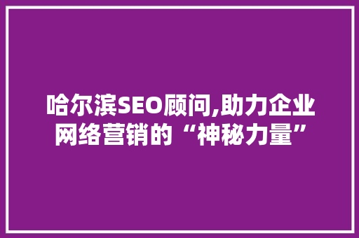 哈尔滨SEO顾问,助力企业网络营销的“神秘力量”