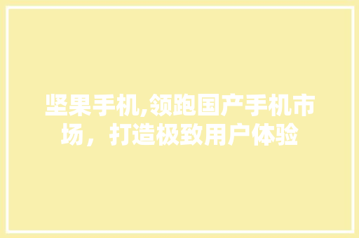 坚果手机,领跑国产手机市场，打造极致用户体验