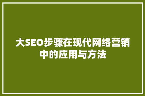 大SEO步骤在现代网络营销中的应用与方法