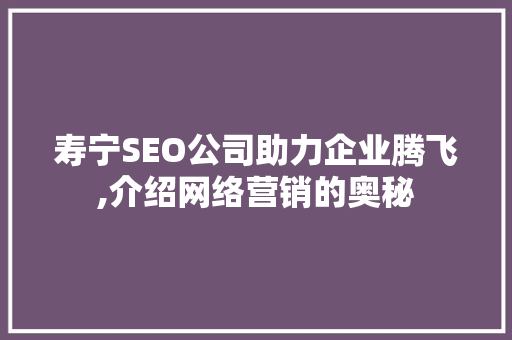 寿宁SEO公司助力企业腾飞,介绍网络营销的奥秘