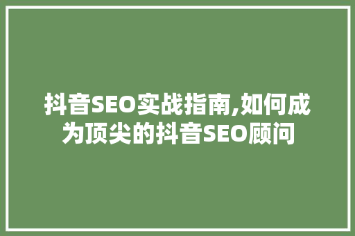 抖音SEO实战指南,如何成为顶尖的抖音SEO顾问