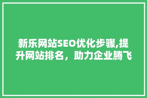 新乐网站SEO优化步骤,提升网站排名，助力企业腾飞