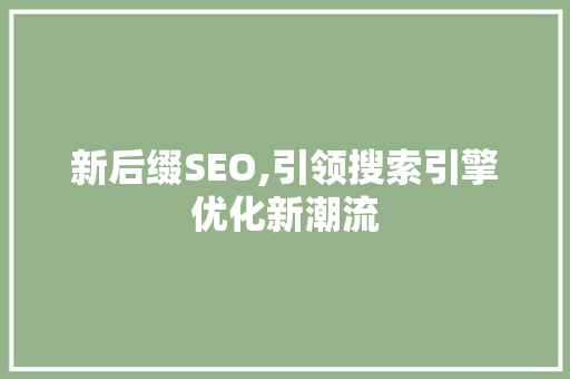 新后缀SEO,引领搜索引擎优化新潮流