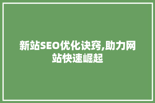 新站SEO优化诀窍,助力网站快速崛起